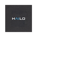 Hailo_Chip